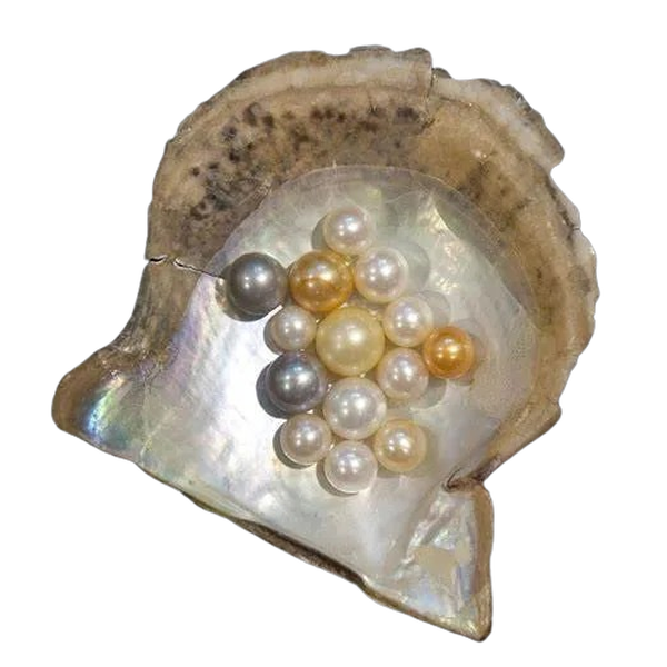Pearl in its oyster shell